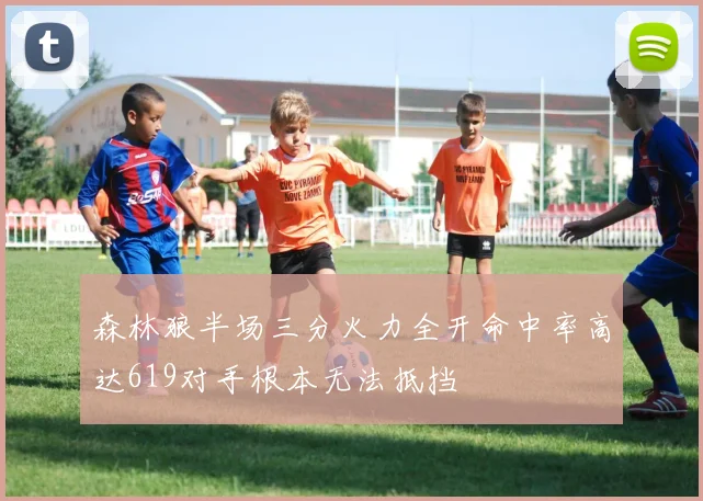 森林狼半场三分火力全开命中率高达619对手根本无法抵挡