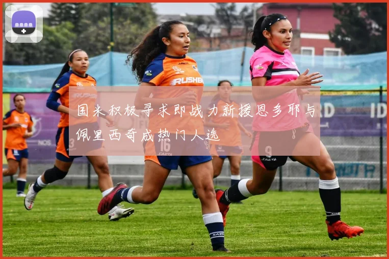 国米积极寻求即战力新援恩多耶与佩里西奇成热门人选